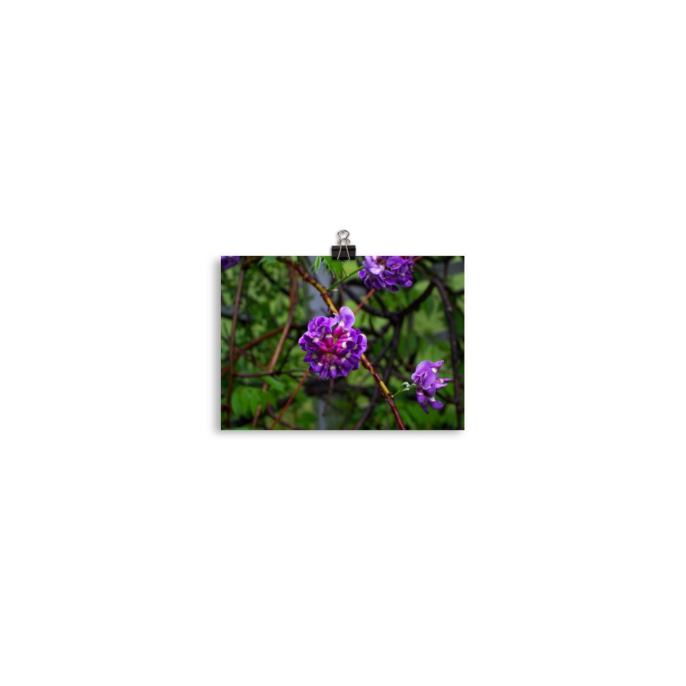 premium-luster-photo-paper-poster-(in)-5x7-transparent-67a41ad8aeefd.jpg