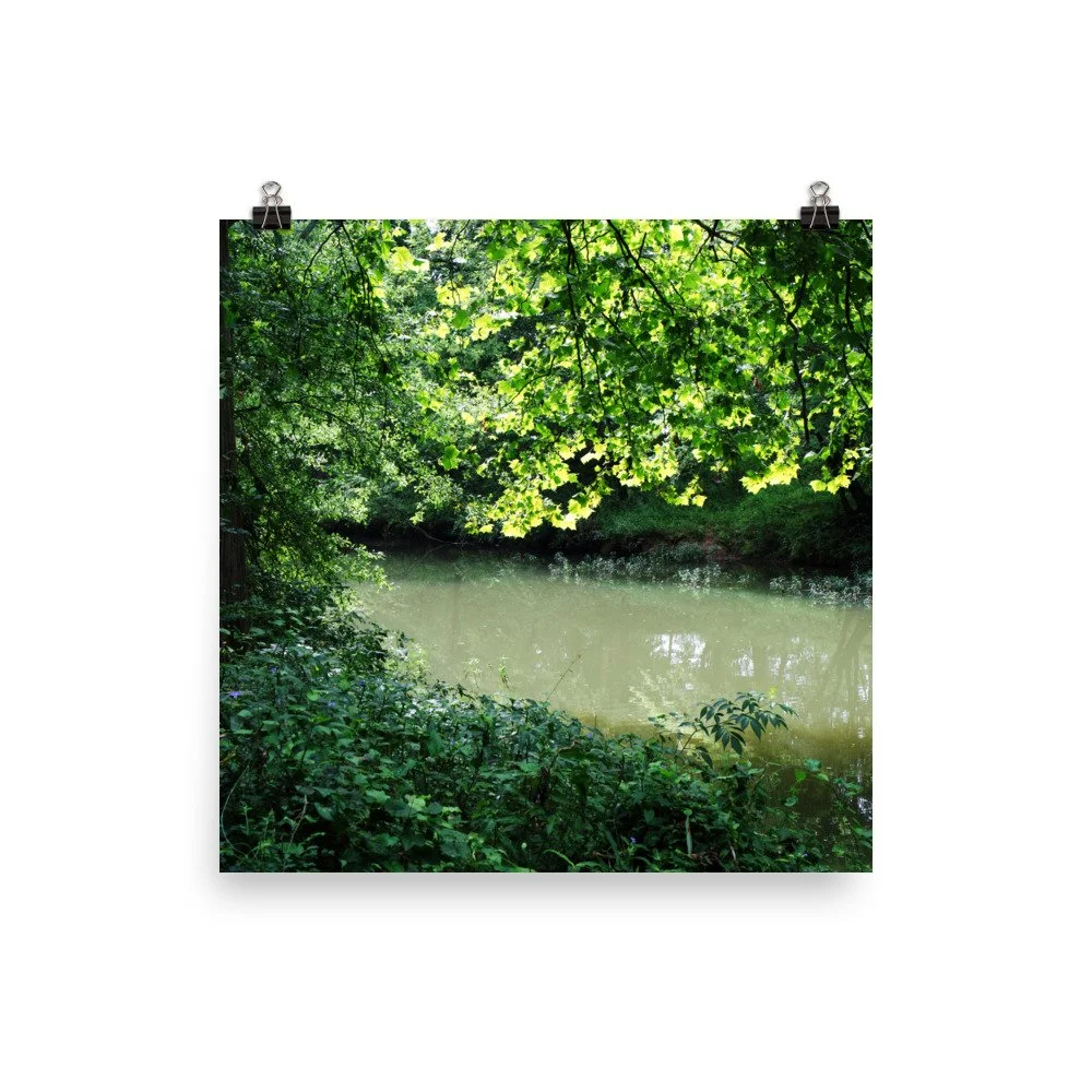 premium-luster-photo-paper-poster-(in)-12x12-transparent-67a41c22b0829.jpg