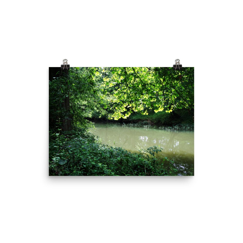 premium-luster-photo-paper-poster-(in)-12x16-transparent-67a41c22b08ca.jpg