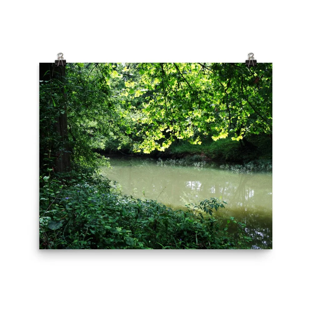 premium-luster-photo-paper-poster-(in)-16x20-transparent-67a41c22b0b5a.jpg