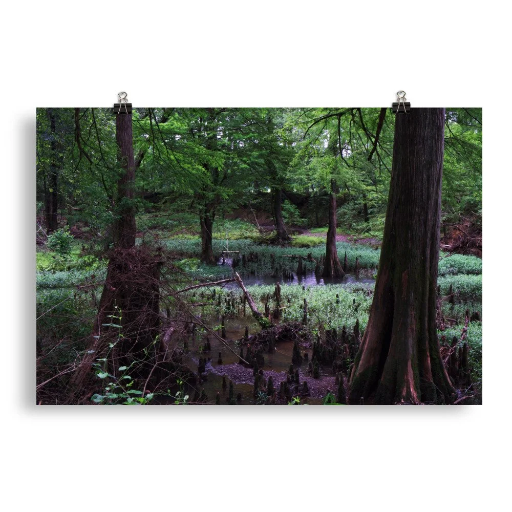 premium-luster-photo-paper-poster-(in)-20x30-transparent-67a41d033cc8d.jpg