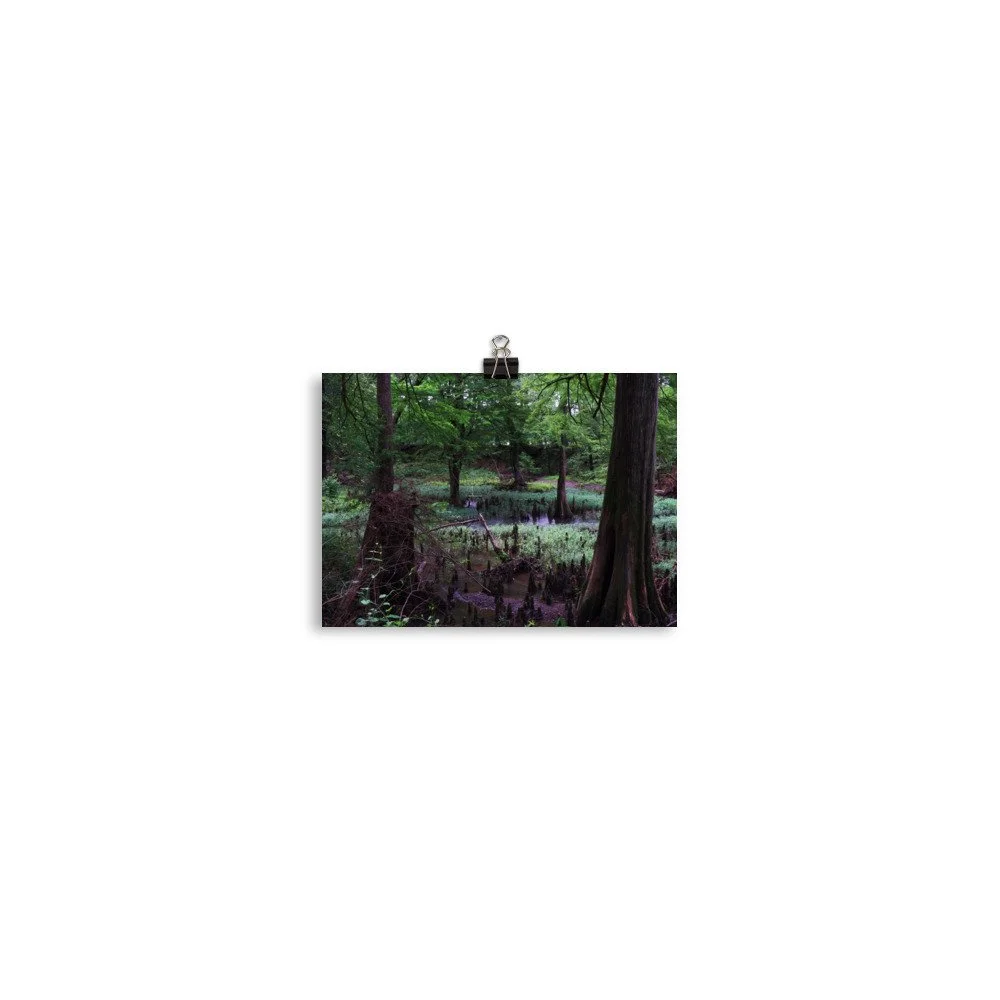 premium-luster-photo-paper-poster-(in)-5x7-transparent-67a41d033d1f3.jpg