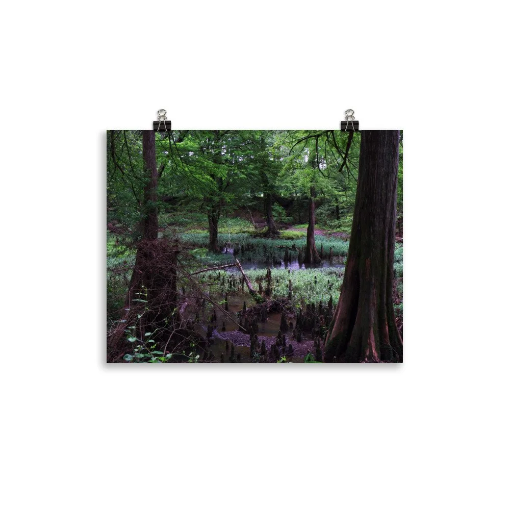 premium-luster-photo-paper-poster-(in)-11x14-transparent-67a41d033d367.jpg