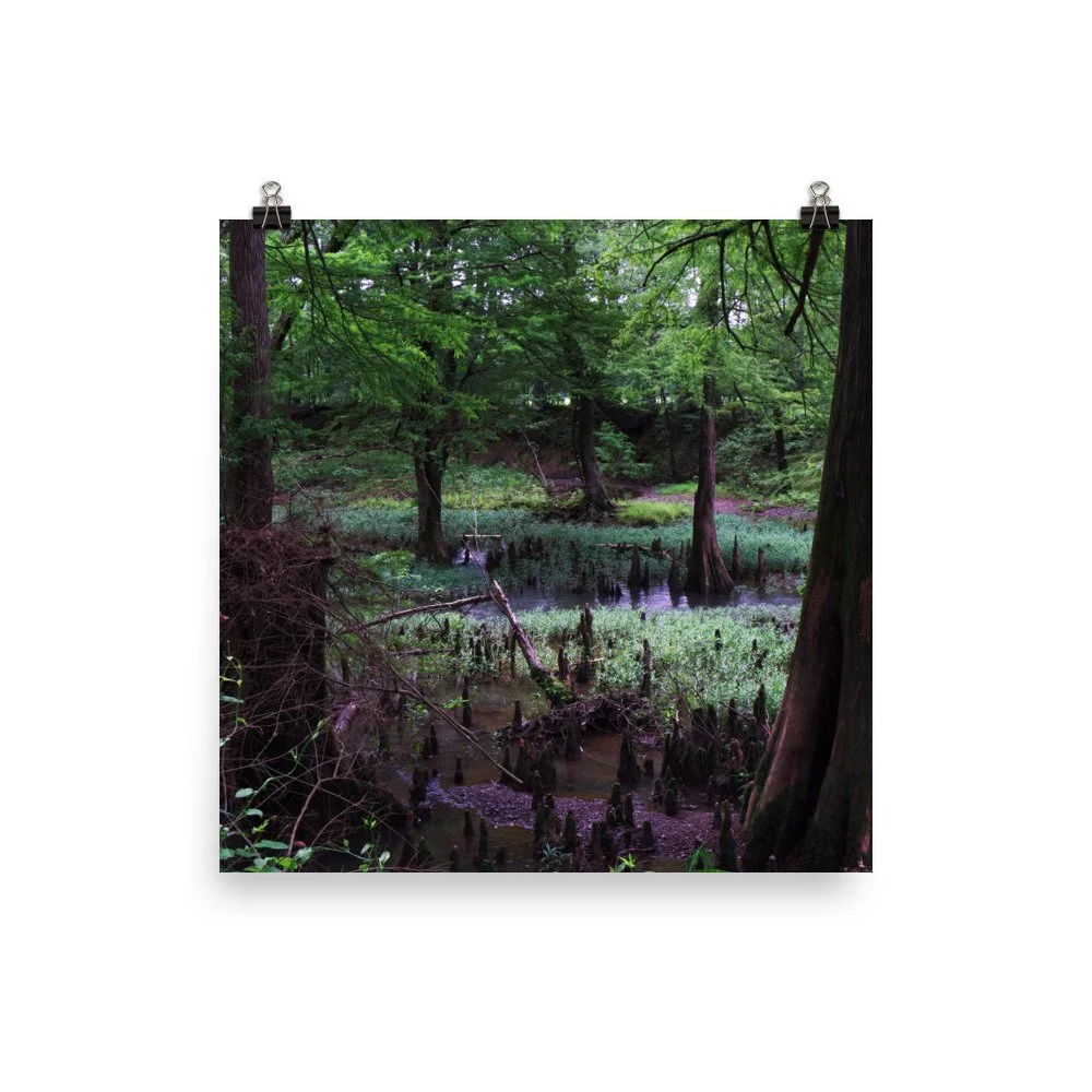 premium-luster-photo-paper-poster-(in)-14x14-transparent-67a41d033d5ea.jpg