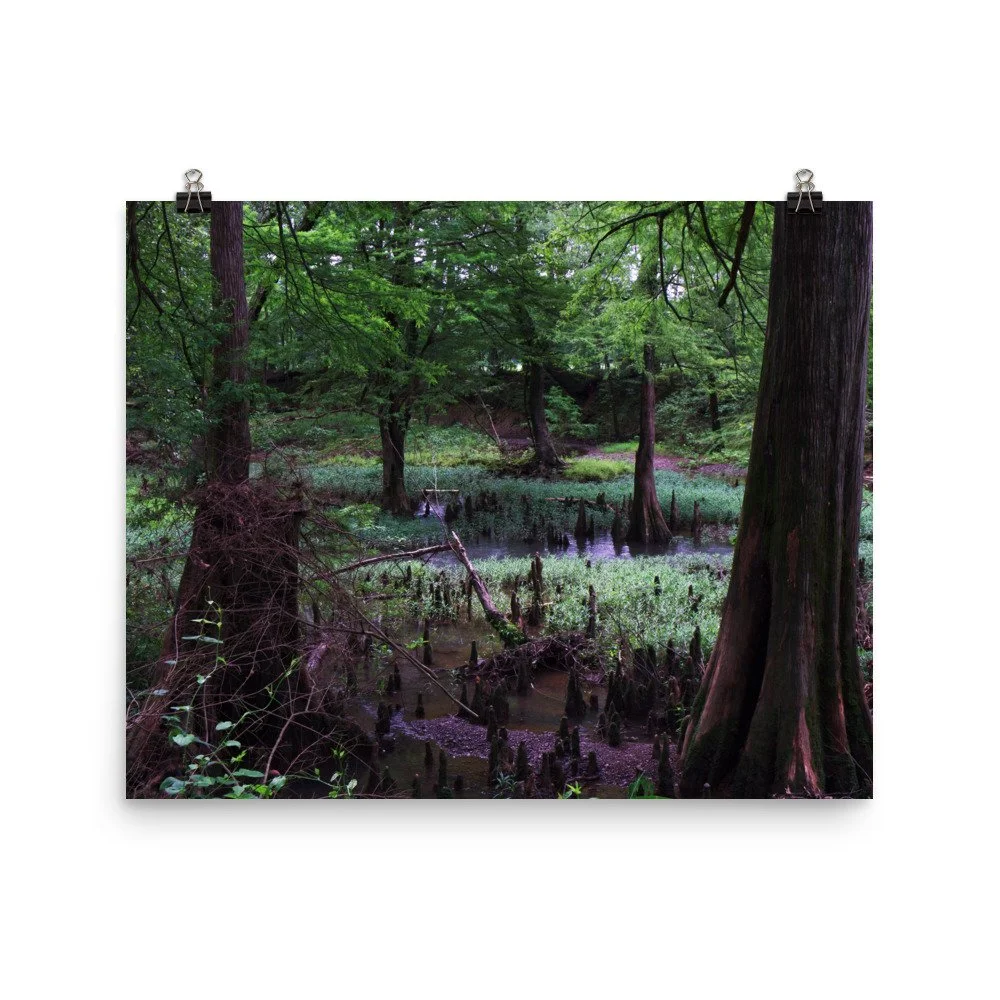 premium-luster-photo-paper-poster-(in)-16x20-transparent-67a41d033d730.jpg