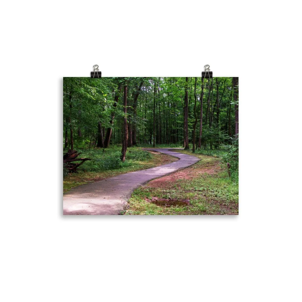 premium-luster-photo-paper-poster-(in)-11x14-transparent-67a41dc7b40c2.jpg