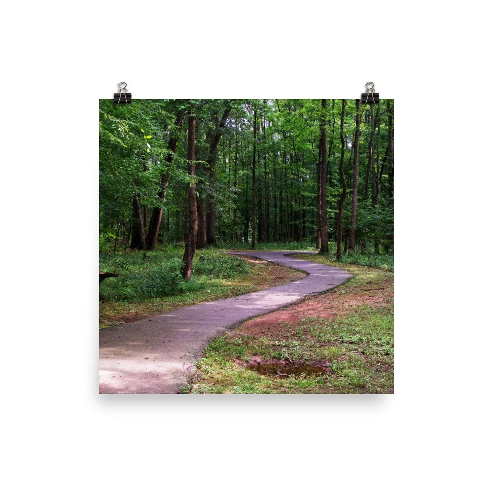 premium-luster-photo-paper-poster-(in)-12x12-transparent-67a41dc7b4157.jpg