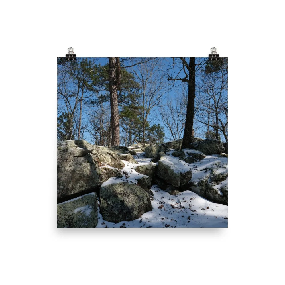 premium-luster-photo-paper-poster-(in)-12x12-transparent-67b7c7d0508d4.jpg