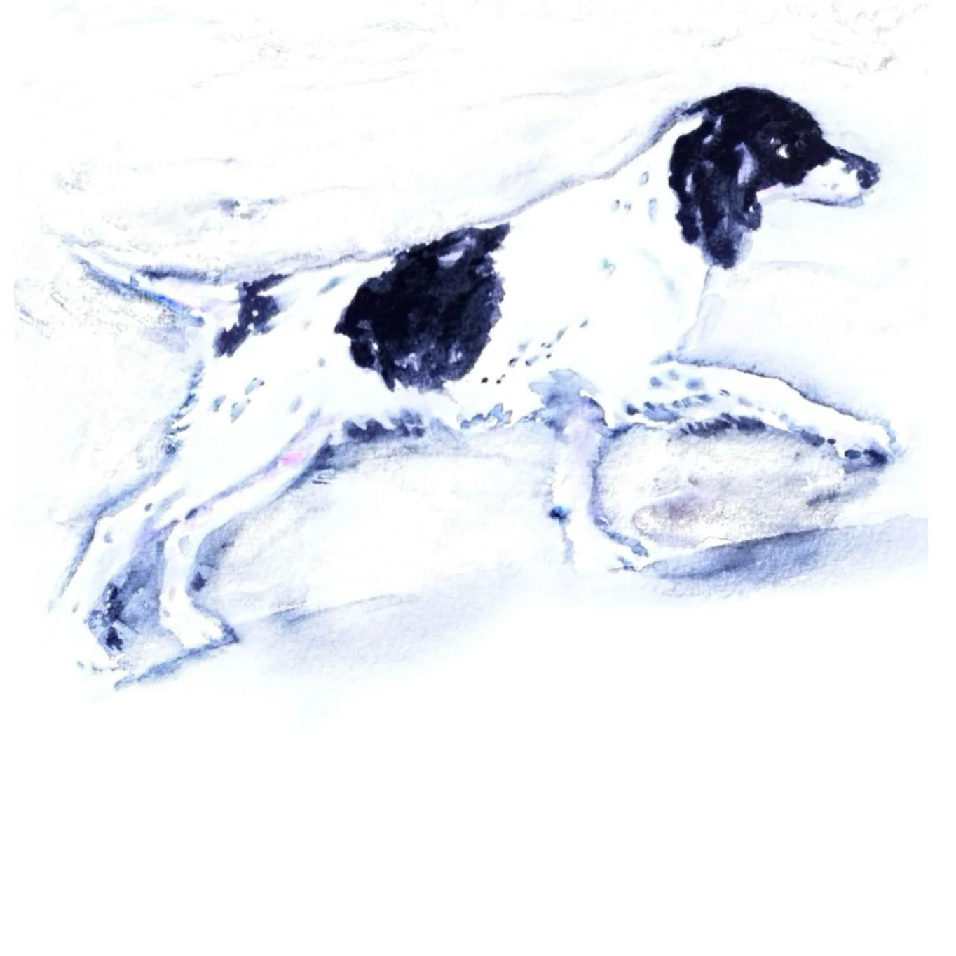 drasher - watercolor dog park.jpg