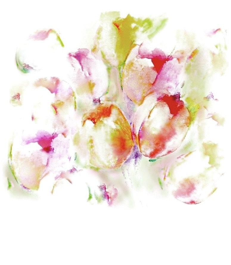 drasher - watercolor tulips 2.jpg