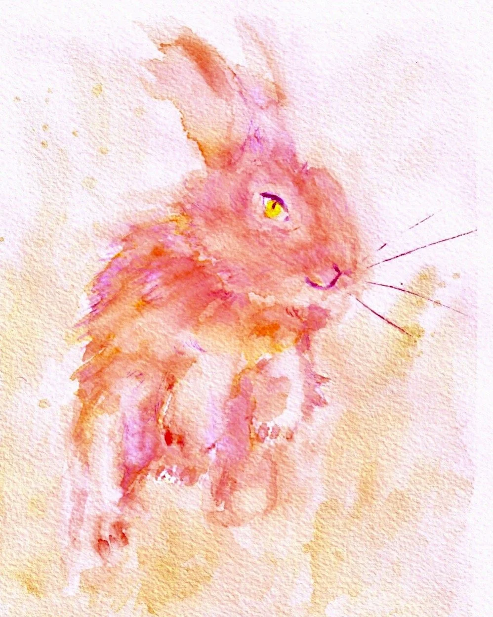 may - kathy drasher.jpg