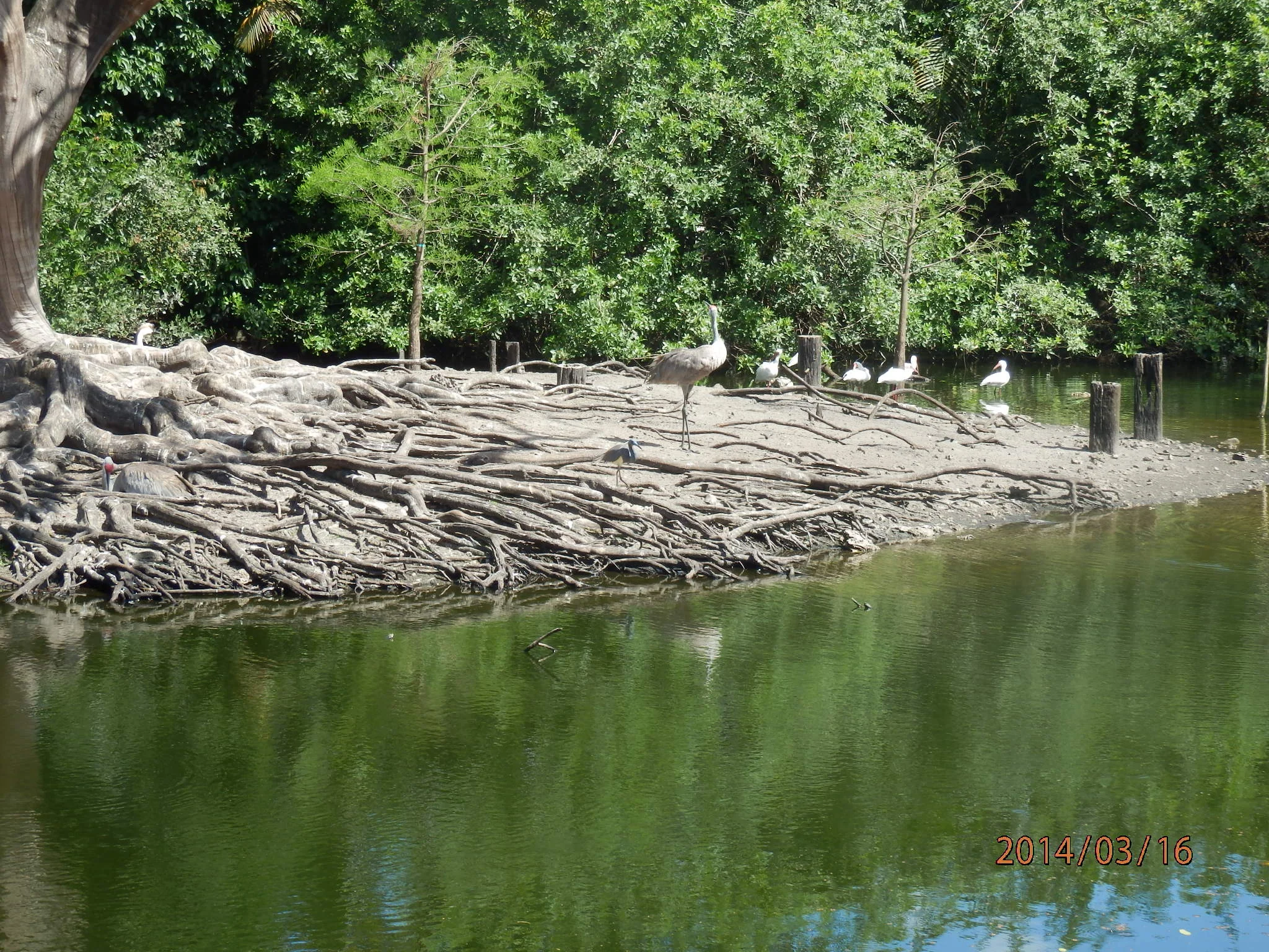 Quiet during the day