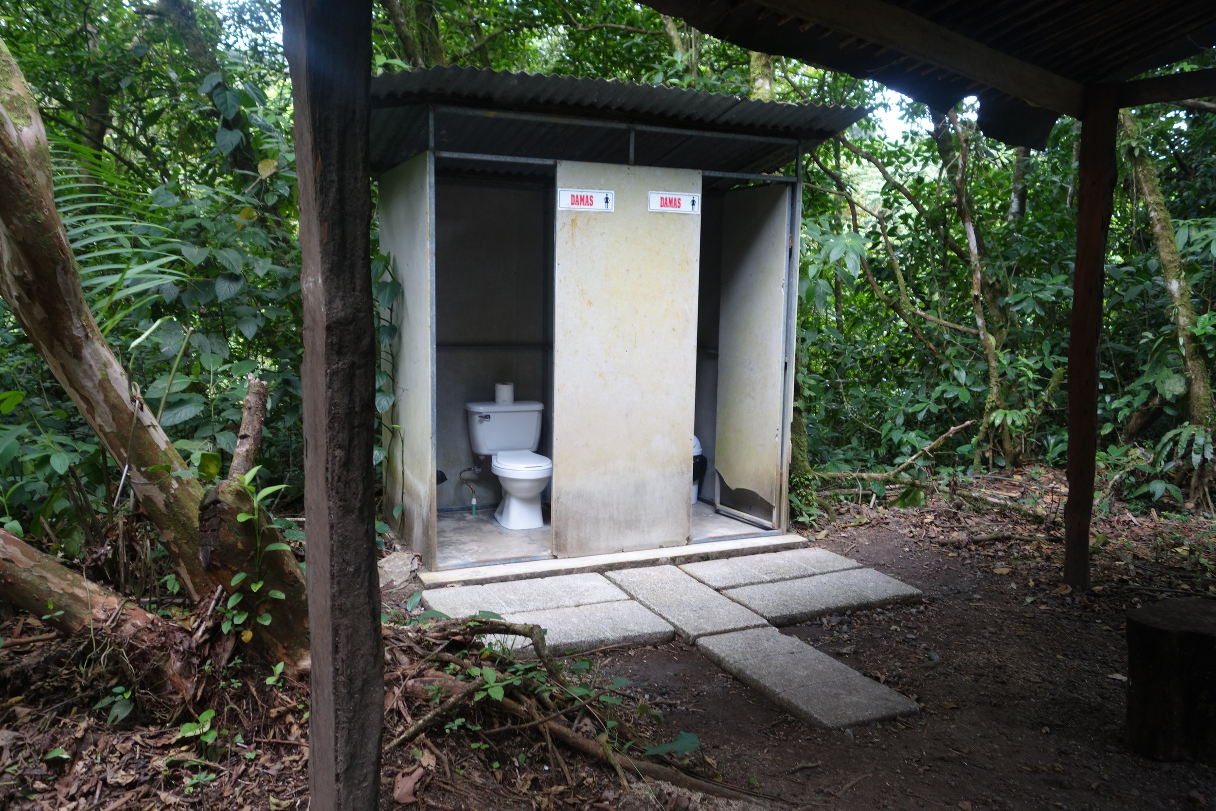 Jungle Path Privy