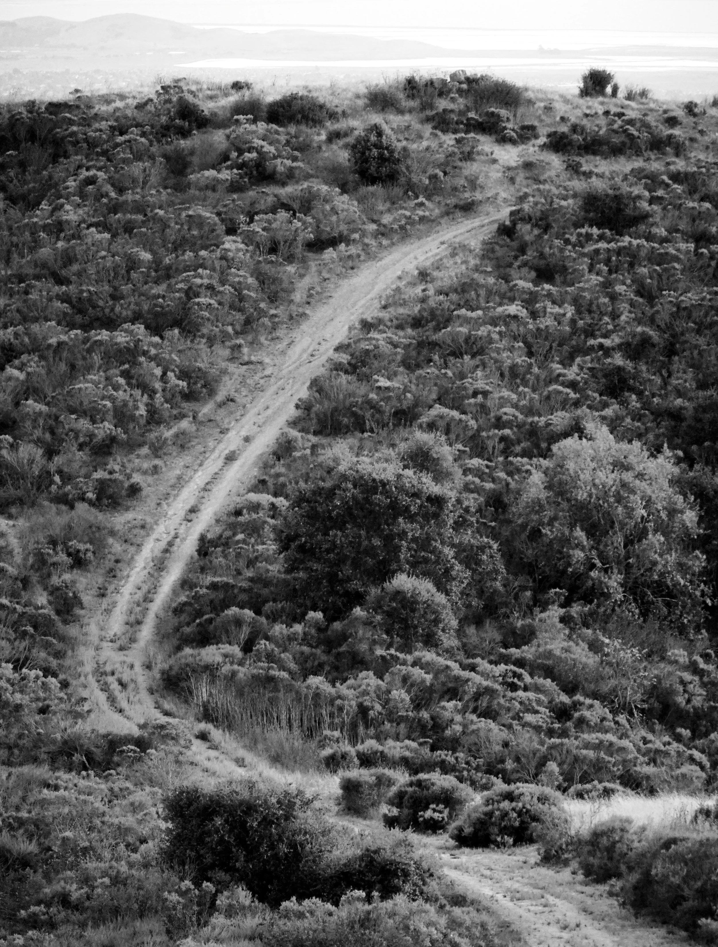 Road to the Sea