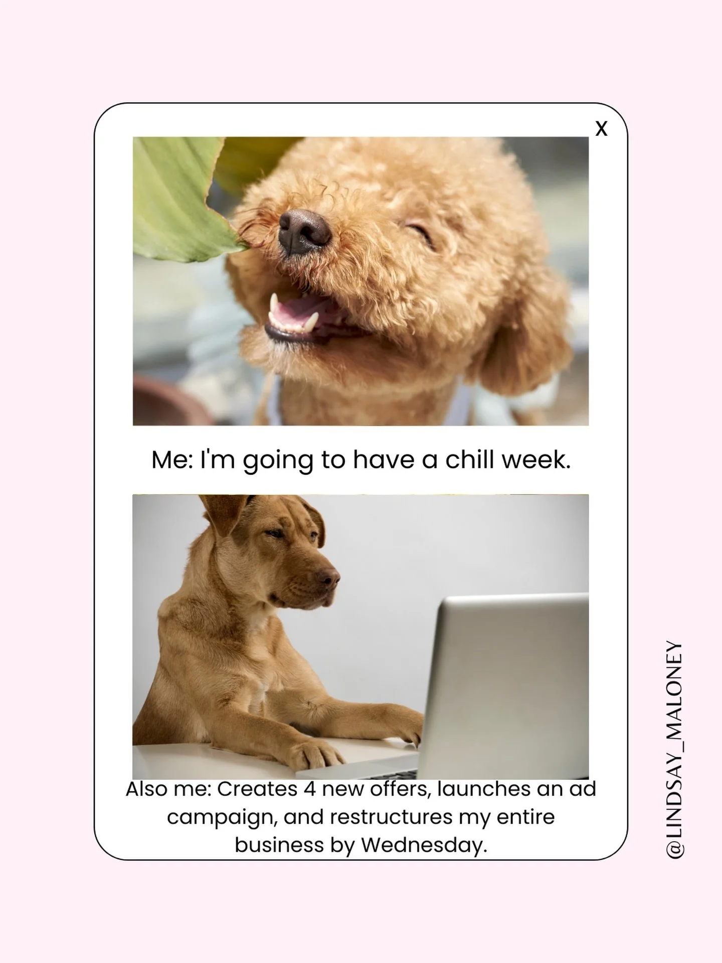 I can be a little much sometimes. 😅 Tell me I&rsquo;m not the only one&hellip;