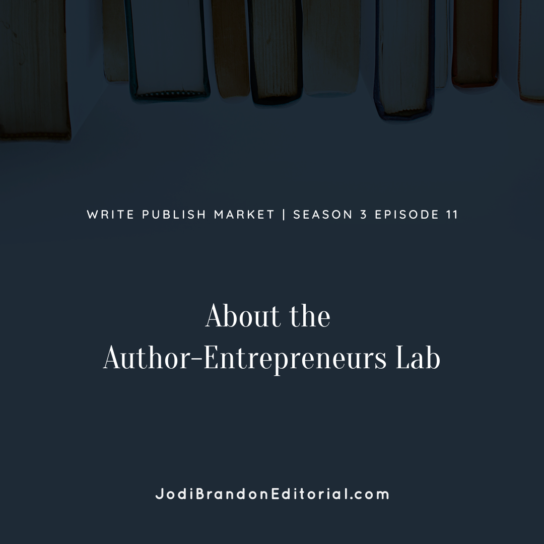 Episode 3.11: About the Author-Entrepreneurs Lab