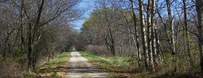 trail700x270.jpg