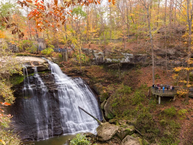Article-Fall-Family-Hikes.jpg