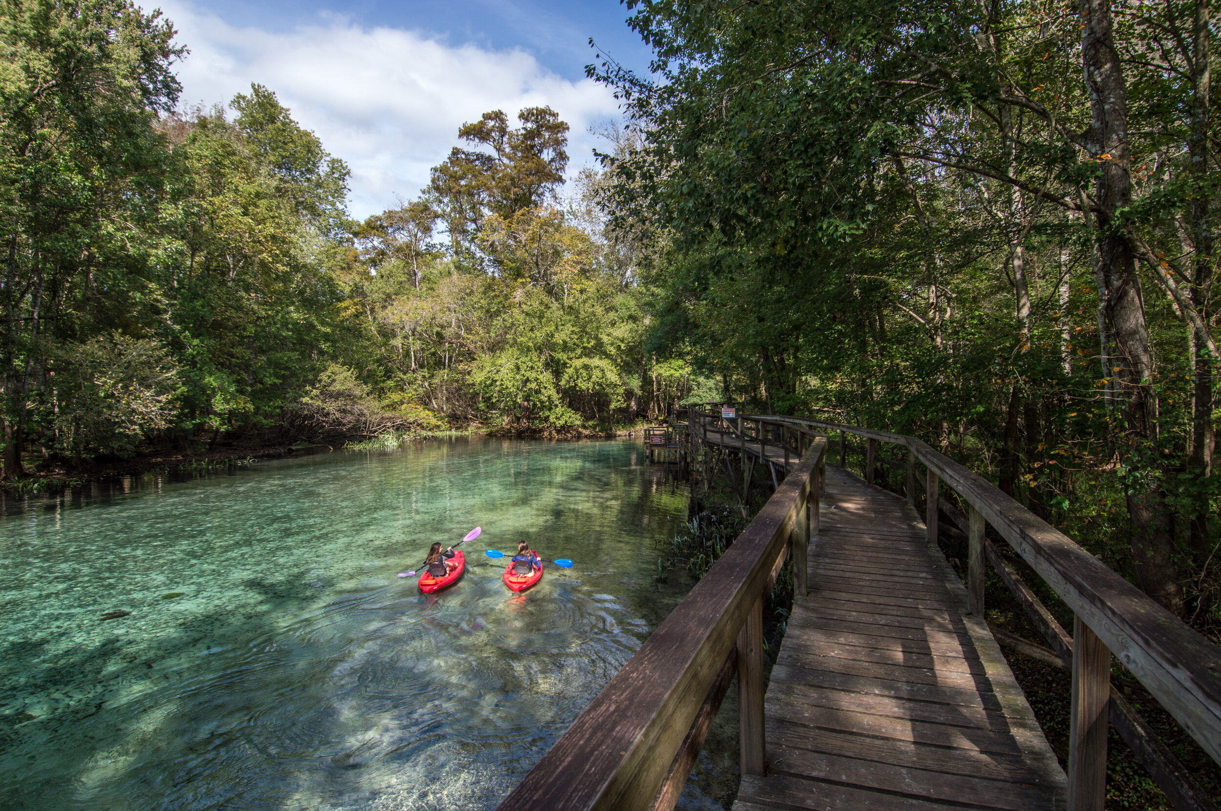 Kayakers_BlueSpringsStatePArk (1 of 1).jpg