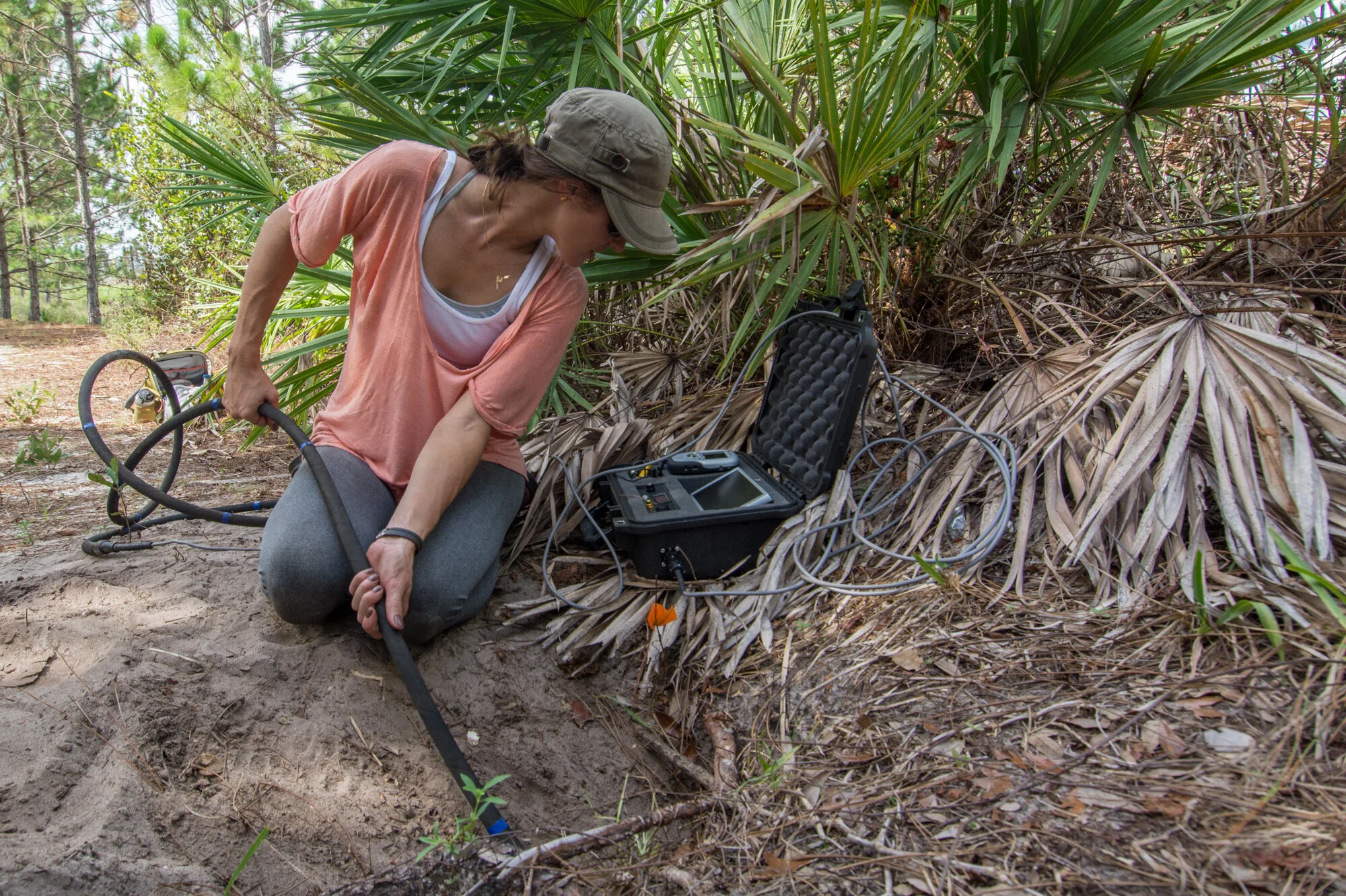 Gopher Tortoises: Secrets of the Burrow — Ocean Bethany