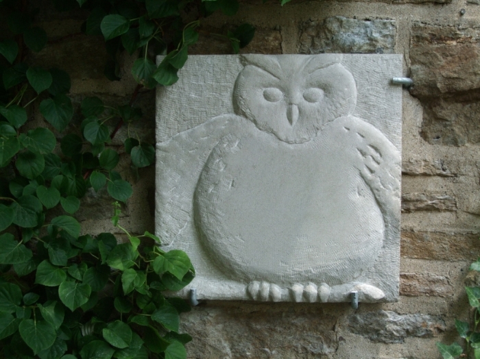 Owl