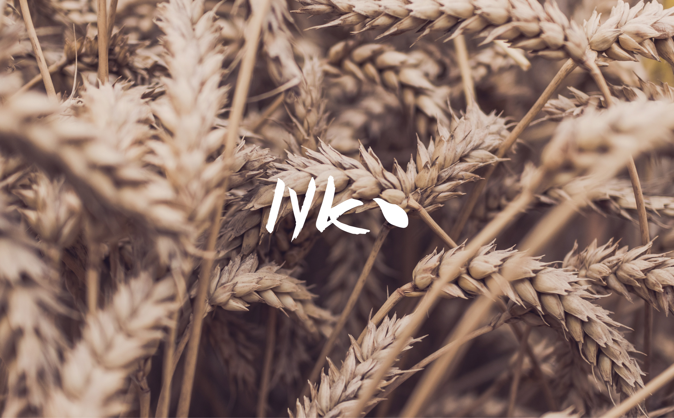 NK-BRANDING_1-01.jpg