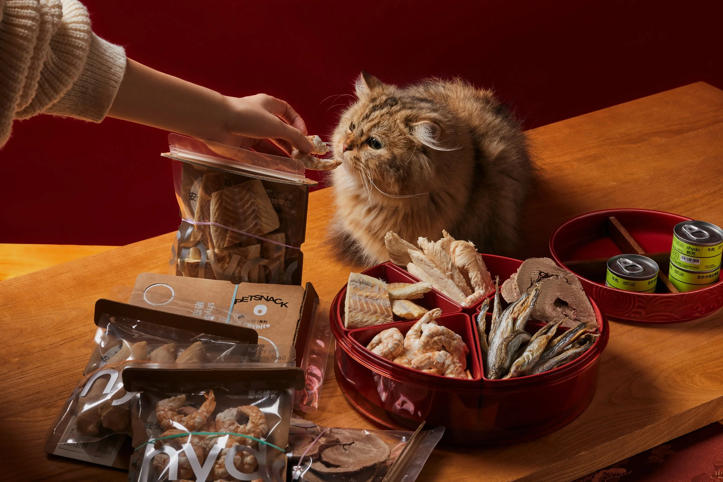 2024.1.24晒兜除夕照拍摄13696 拷贝.jpg