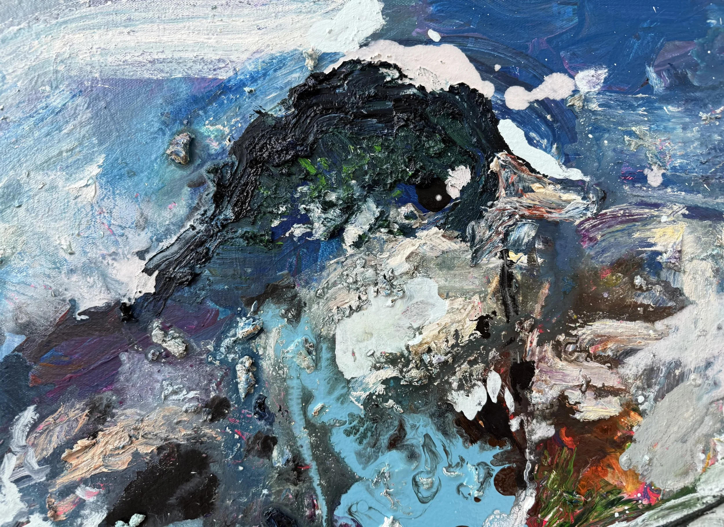 Josh_detail 4_ARTIST LIZ ALDERMAN_BIRD PAINTING.jpeg