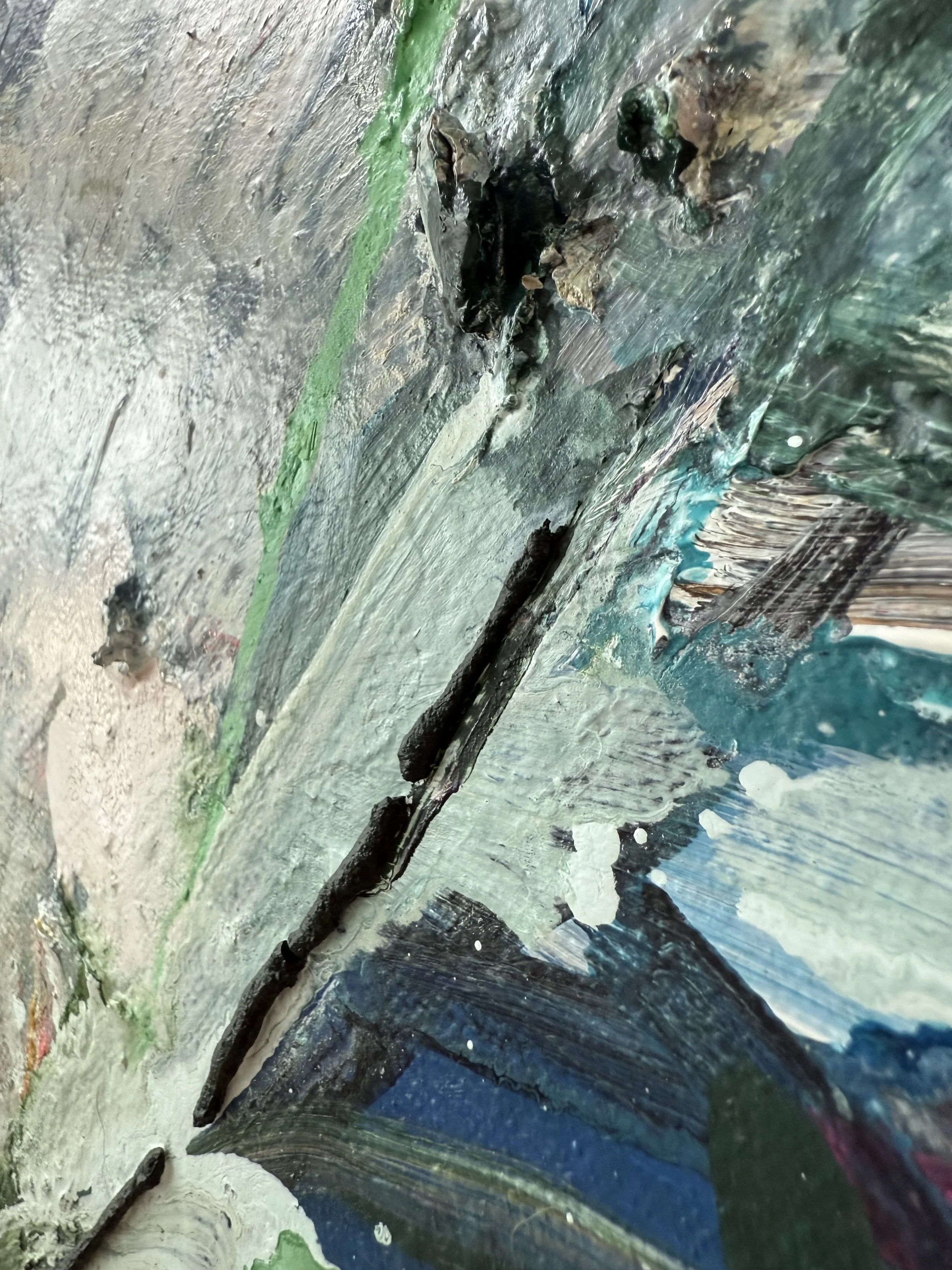 Josh_close up 30_ARTIST LIZ ALDERMAN_BIRD PAINTING.jpeg