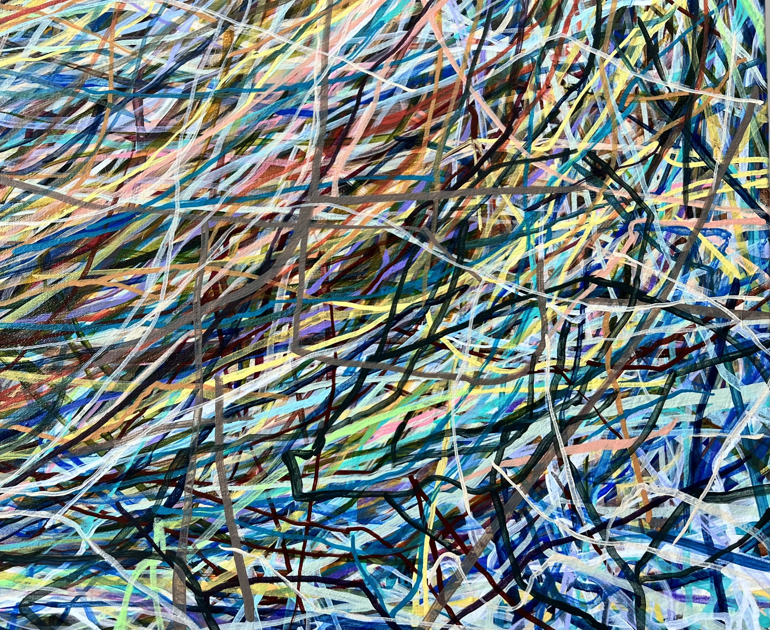 Zoomerang_detail 15_ARTIST LIZ ALDERMAN.jpeg