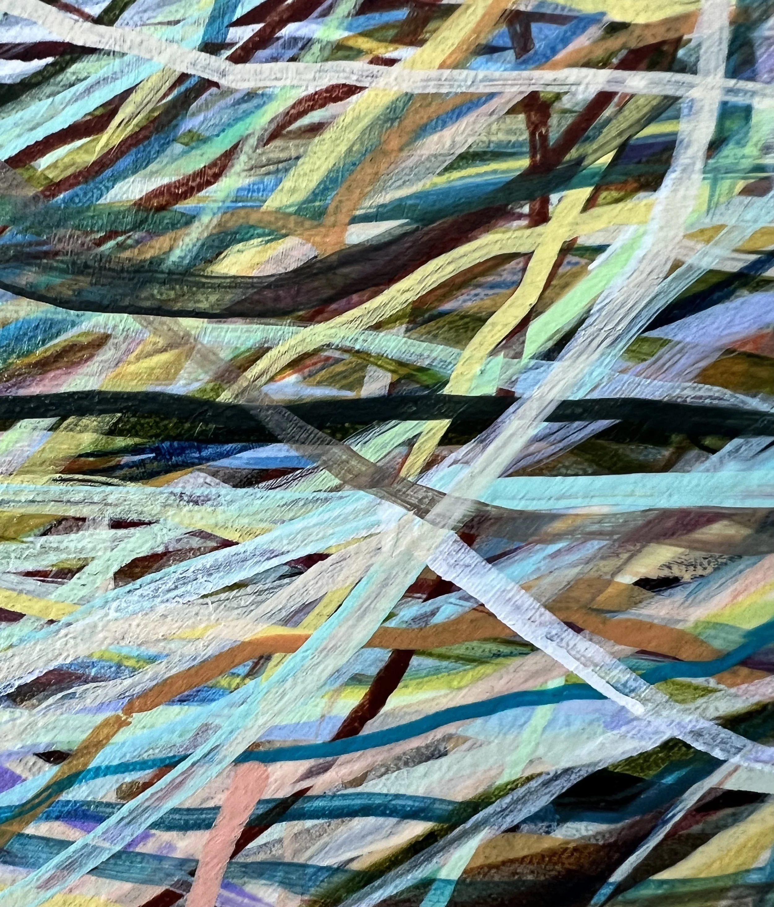 Zoomerang_close up 30_ARTIST LIZ ALDERMAN.jpeg