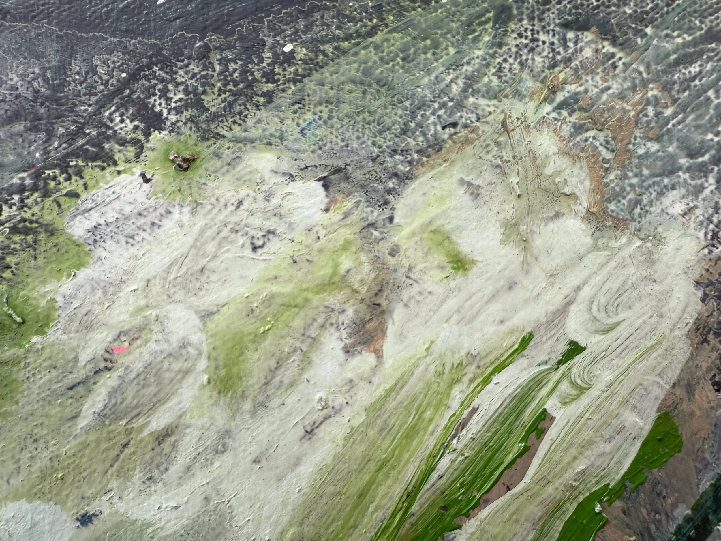 Josh_zoom 16_ARTIST LIZ ALDERMAN_BIRD PAINTING.jpeg