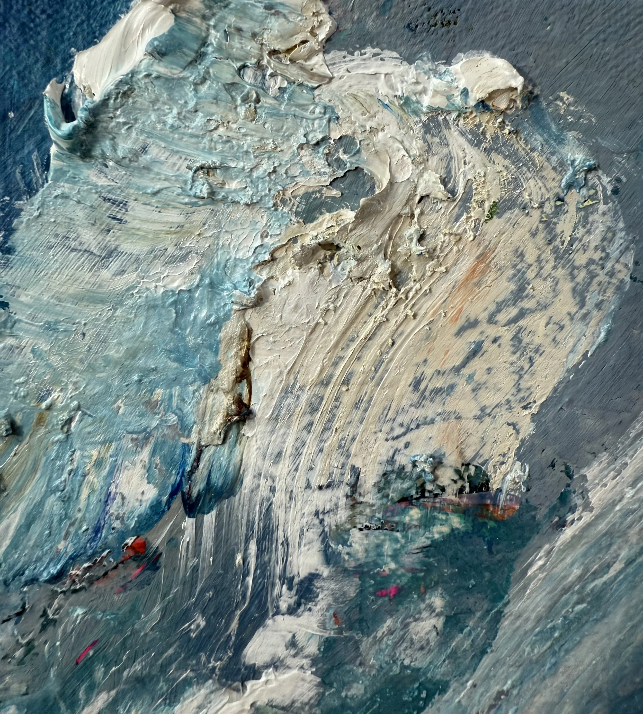 Josh_close up 1_ARTIST LIZ ALDERMAN_BIRD PAINTING.jpeg