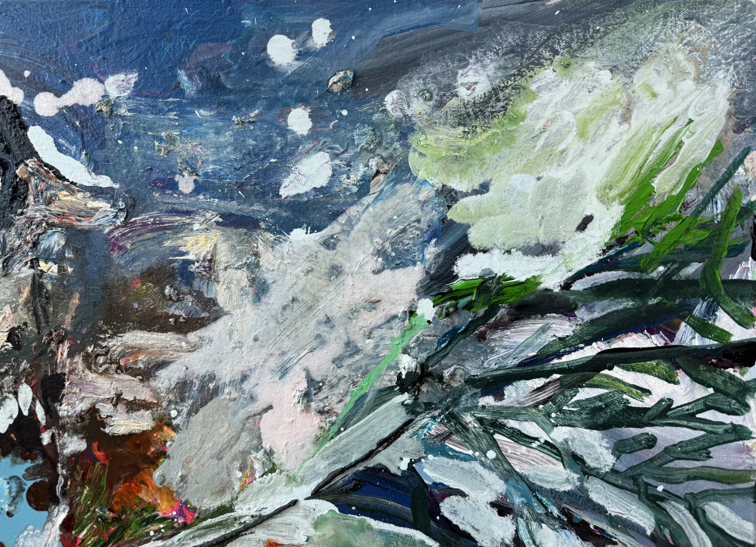 Josh_detail 5_ARTIST LIZ ALDERMAN_BIRD PAINTING.jpeg