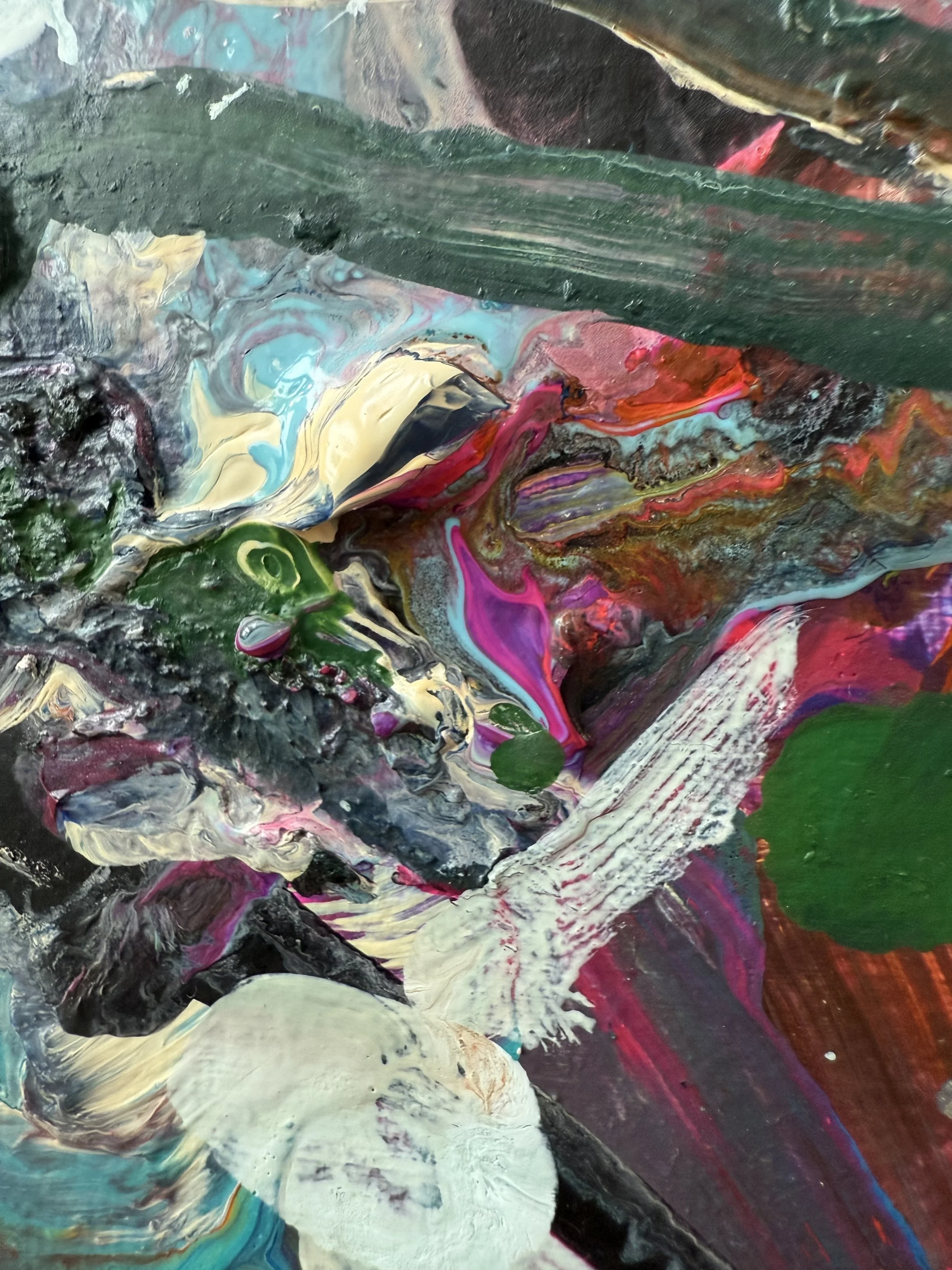 Josh_close up 32_ARTIST LIZ ALDERMAN_BIRD PAINTING.jpeg