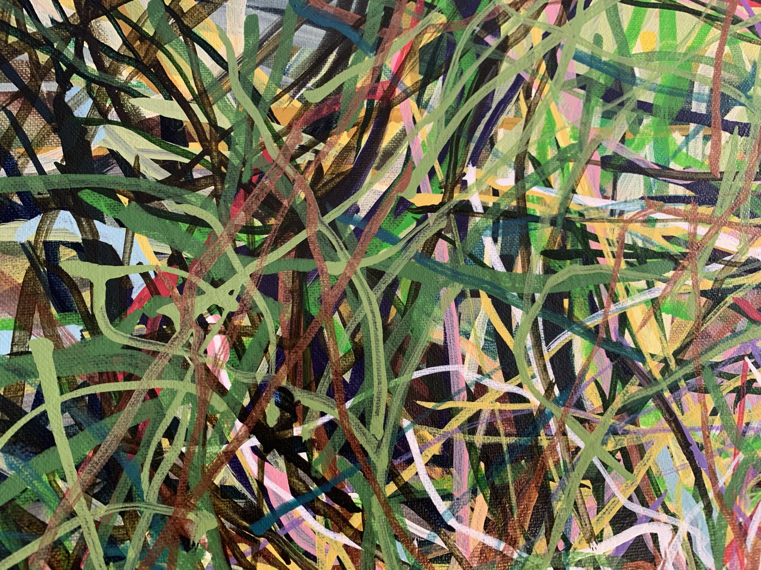 Degrbrcone [detail]