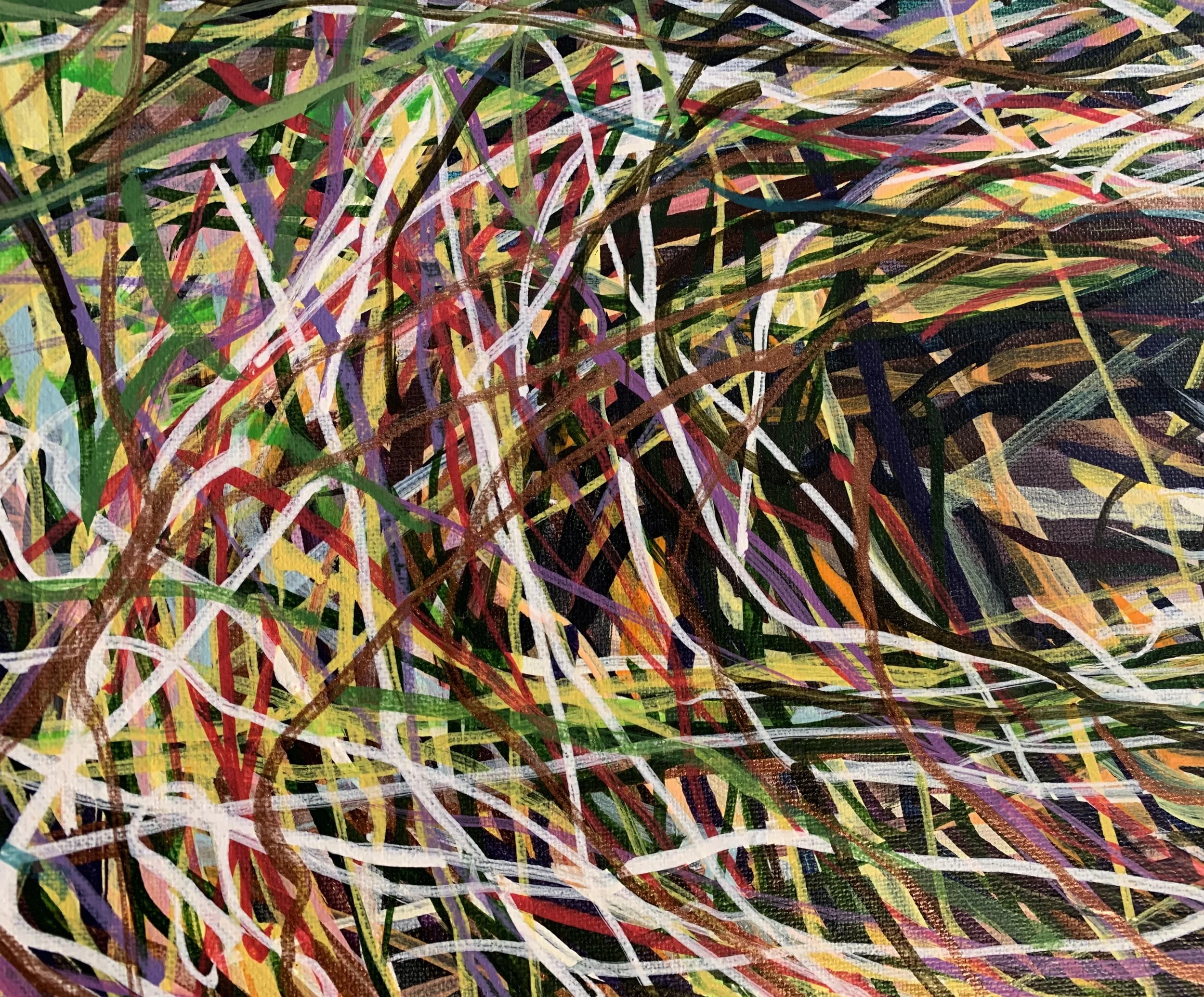 Degrbrcone [detail]