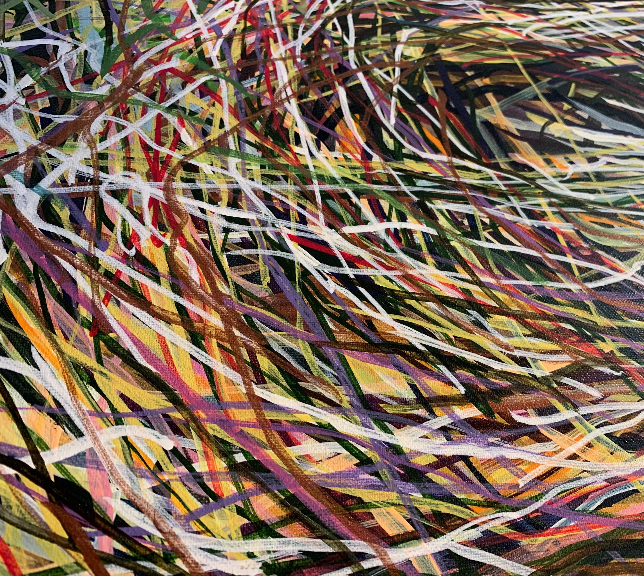 Degrbrcone [detail]