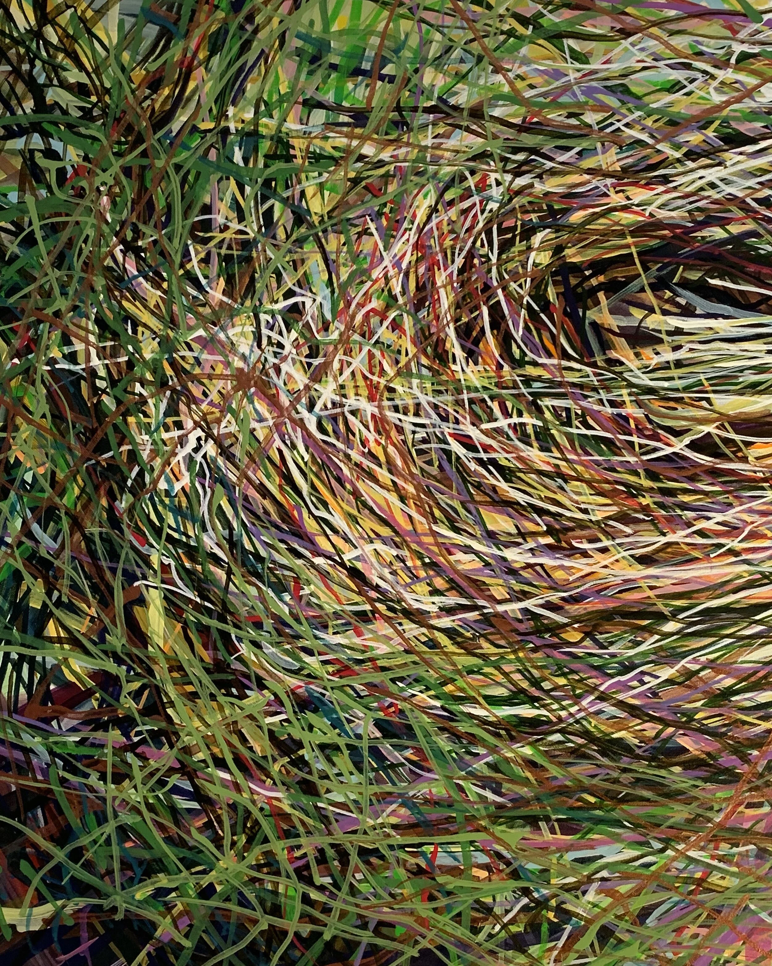 Degrbrcone [detail]