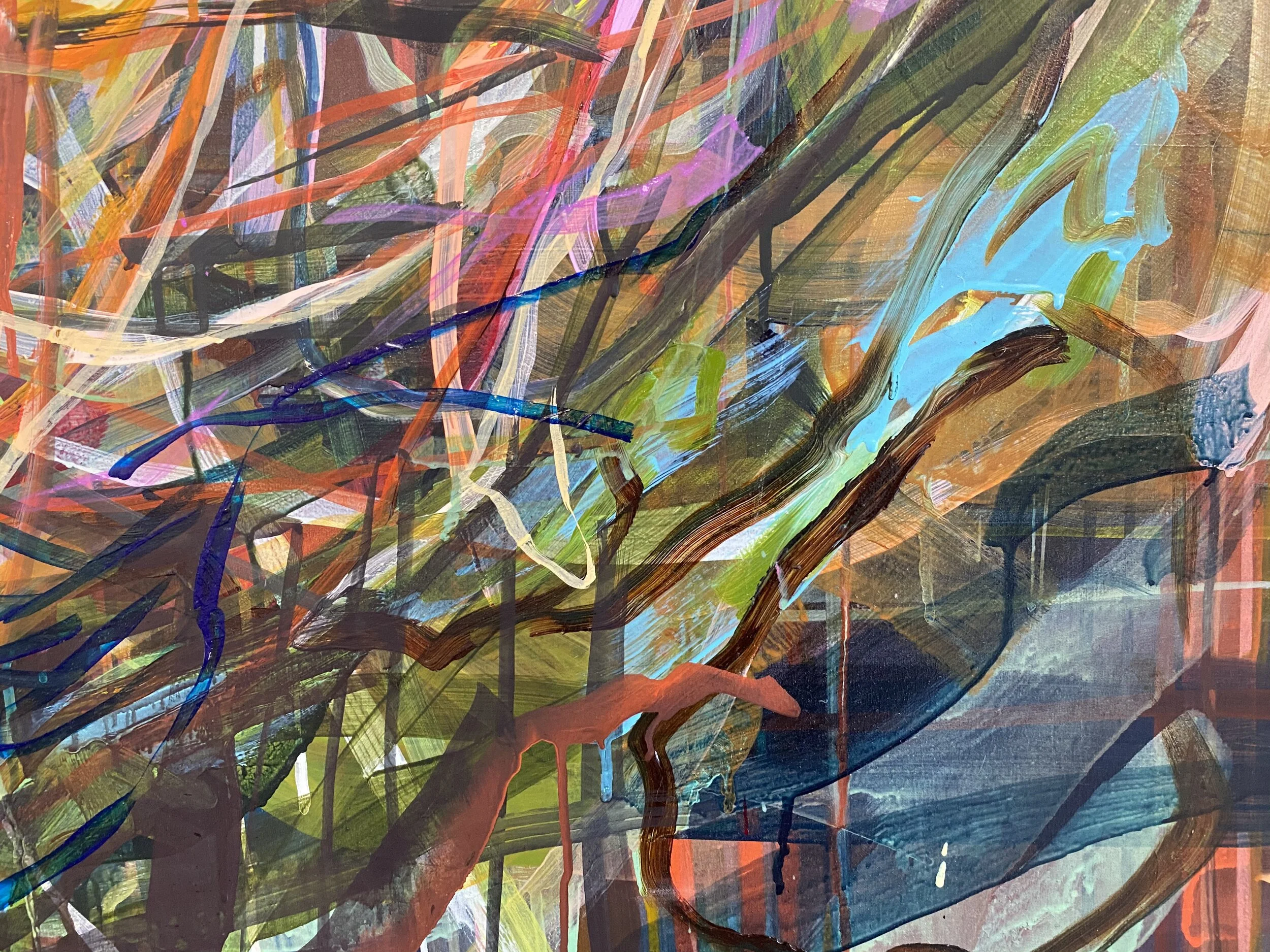 Japlaidne_extreme close up 3_ARTIST LIZ ALDERMAN_CONTEMPORARY PAINTING.jpeg