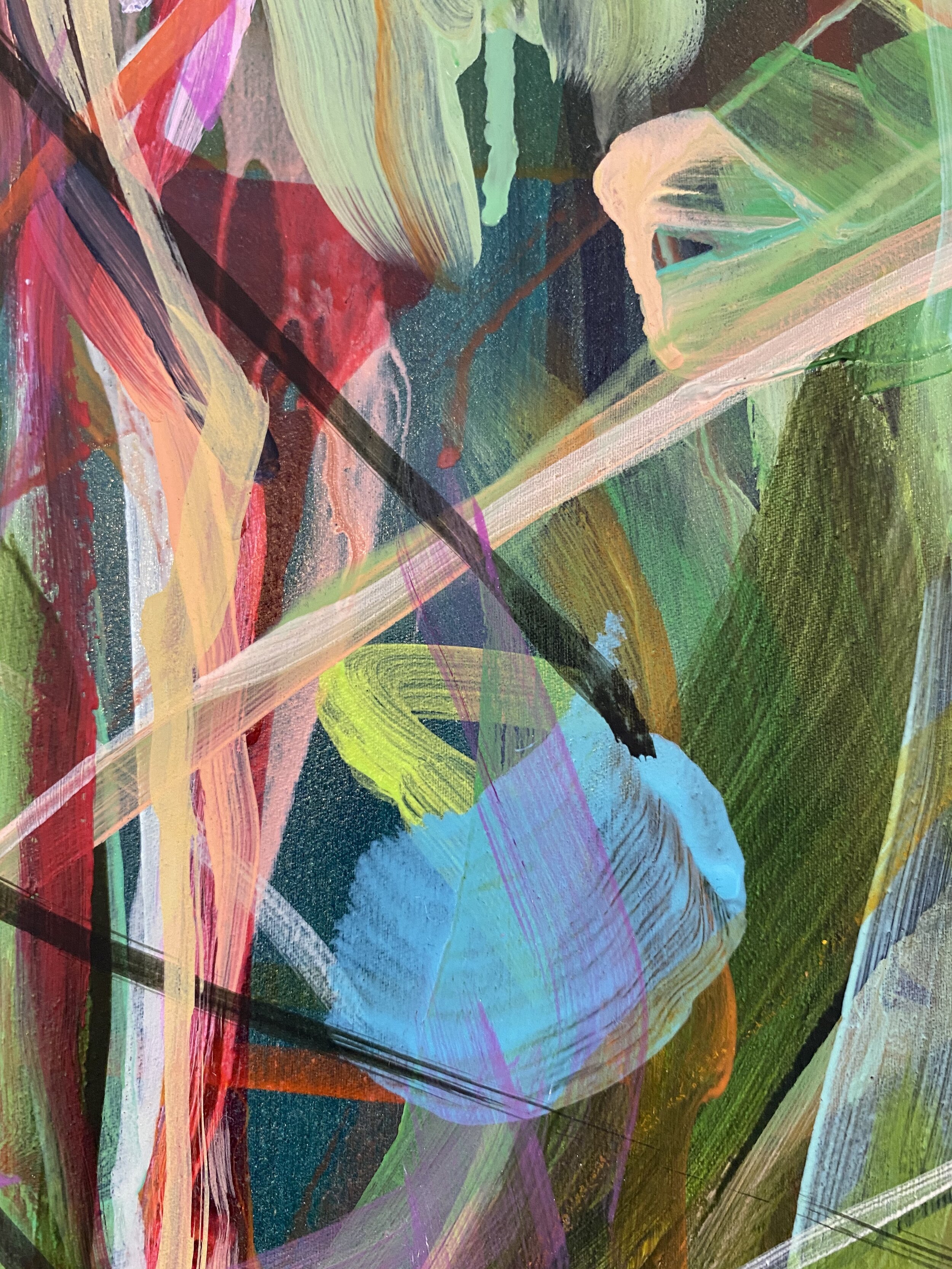 Japlaidne_extreme close up 8_ARTIST LIZ ALDERMAN_CONTEMPORARY PAINTING.jpeg