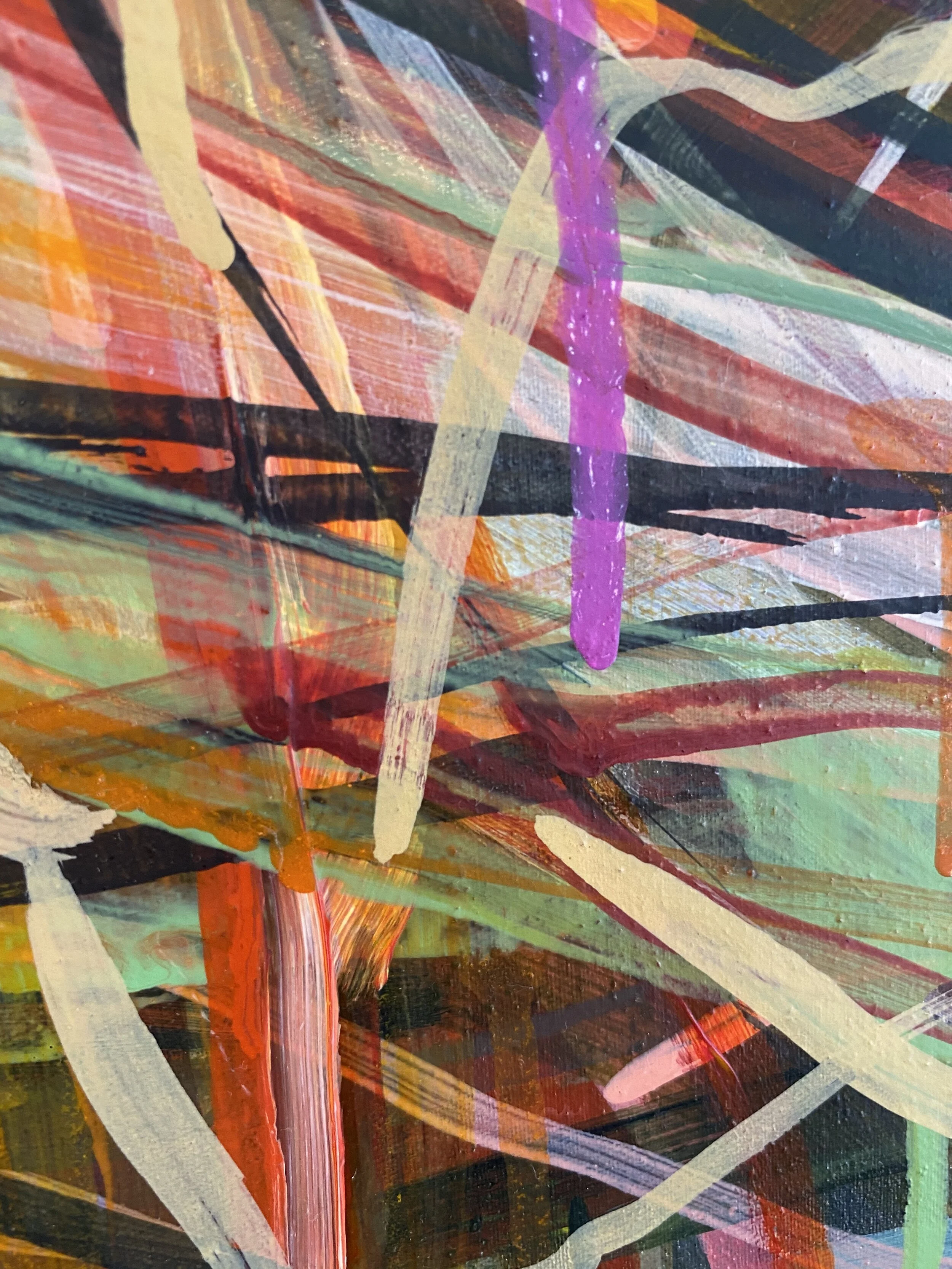 Japlaidne_extreme close up 11_ARTIST LIZ ALDERMAN_CONTEMPORARY PAINTING.jpeg