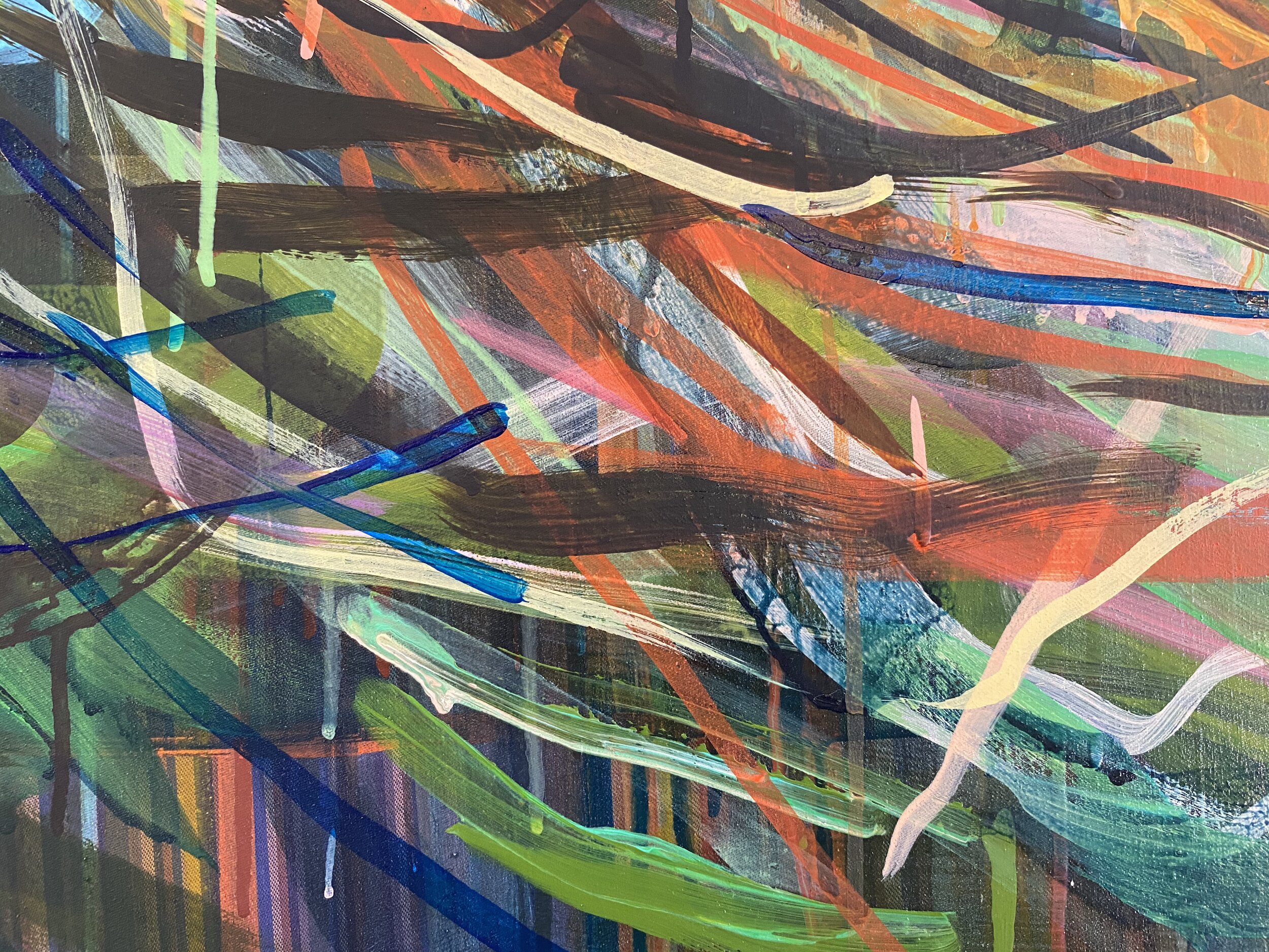 Japlaidne_extreme close up 14_ARTIST LIZ ALDERMAN_CONTEMPORARY PAINTING.jpeg