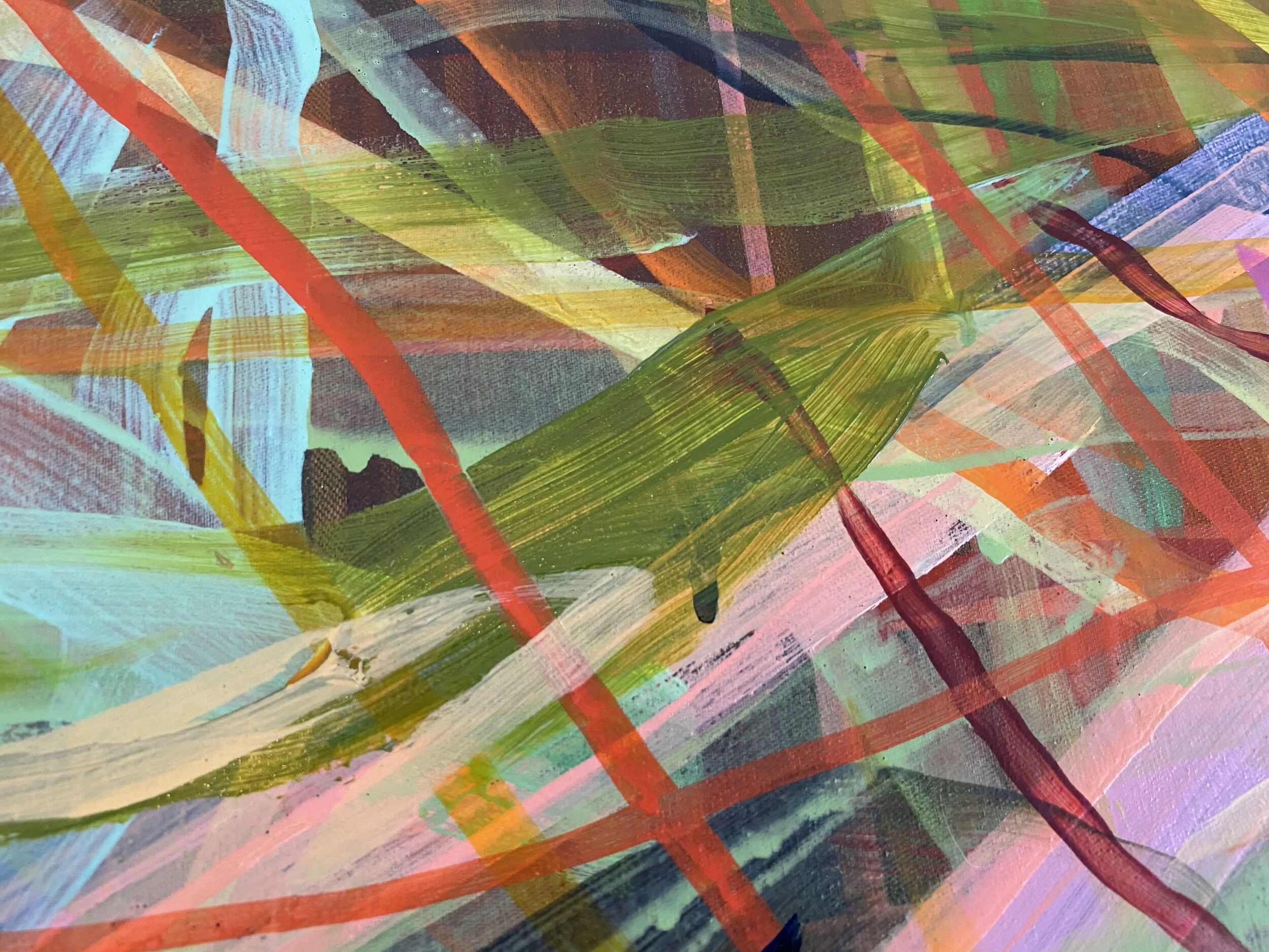 Japlaidne_extreme close up 15_ARTIST LIZ ALDERMAN_CONTEMPORARY PAINTING.jpeg