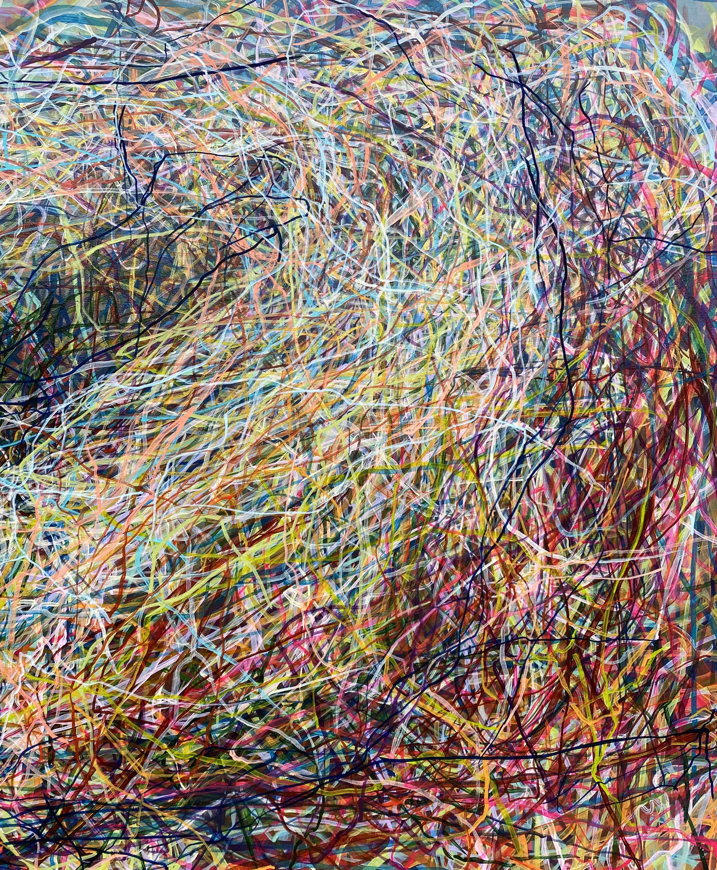 Cosapriblupeamos [detail]