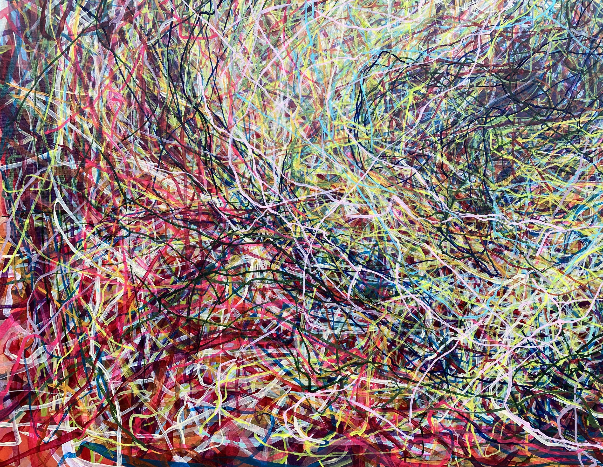 Galapripingreexy [detail]