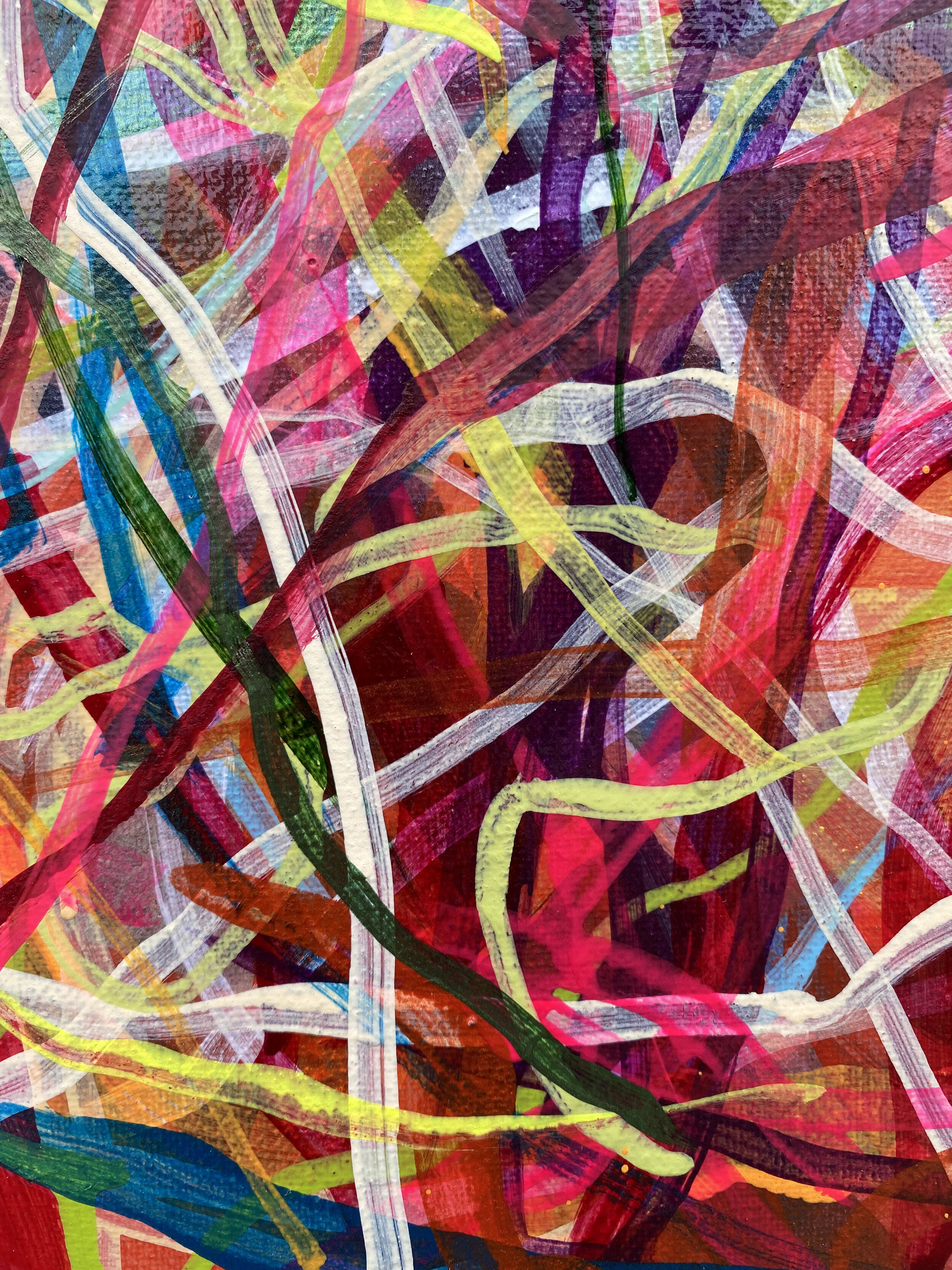 Galapripingreexy [detail]