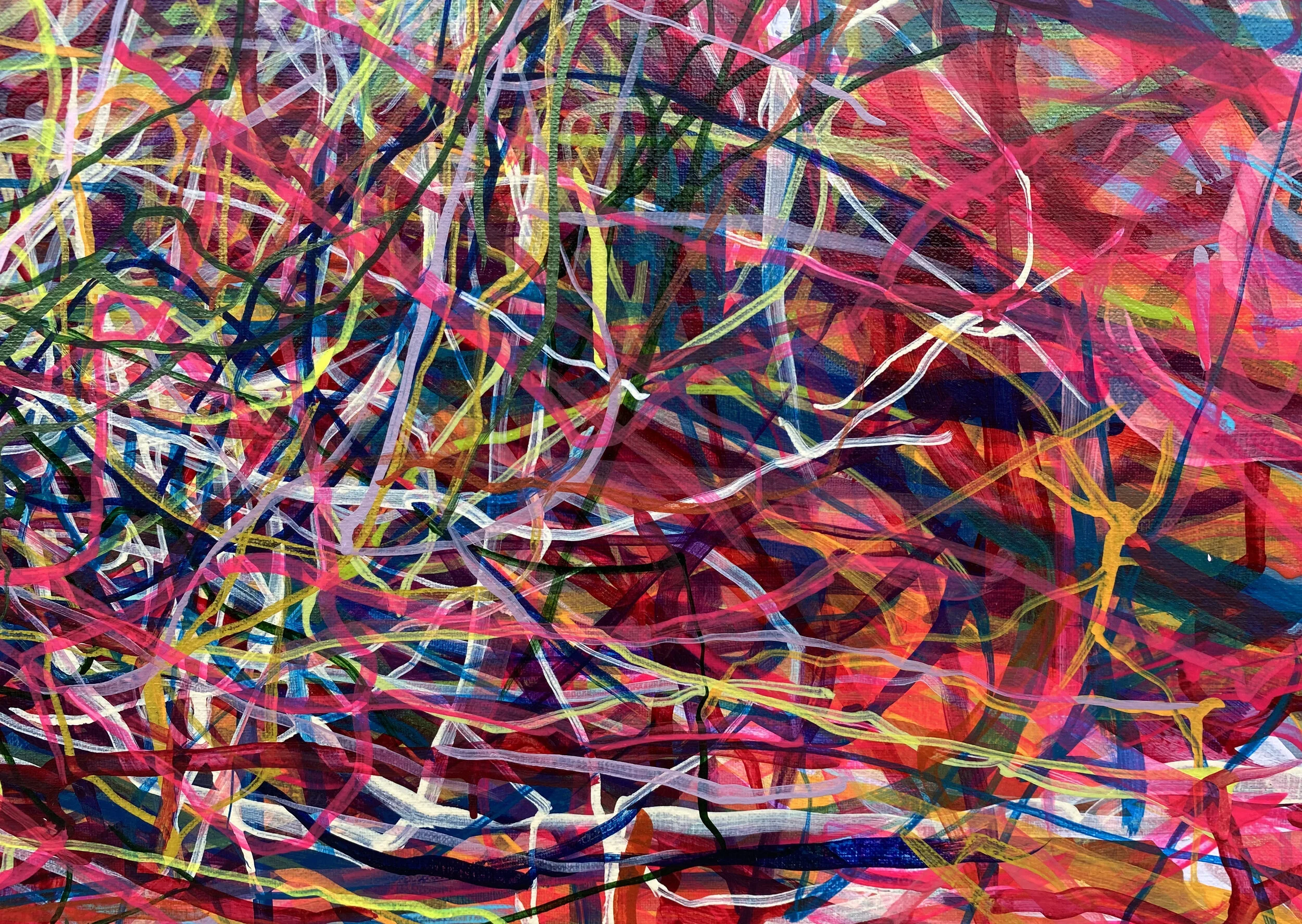 Galapripingreexy [detail]
