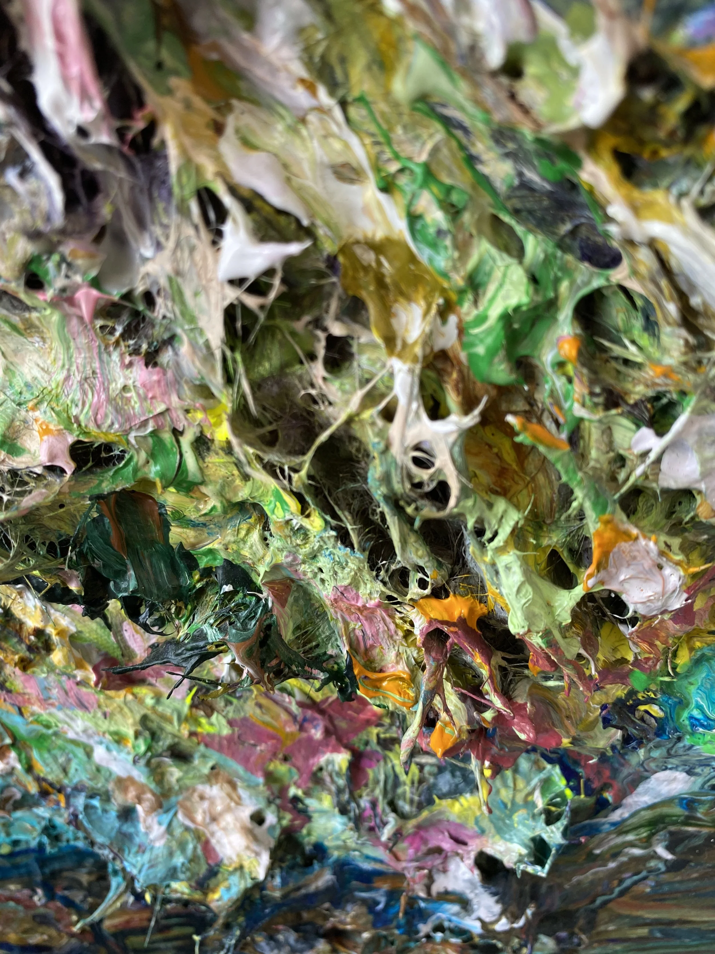 Hubert_raking view close up 2_LIZ ALDERMAN ART_PAINTING.jpeg