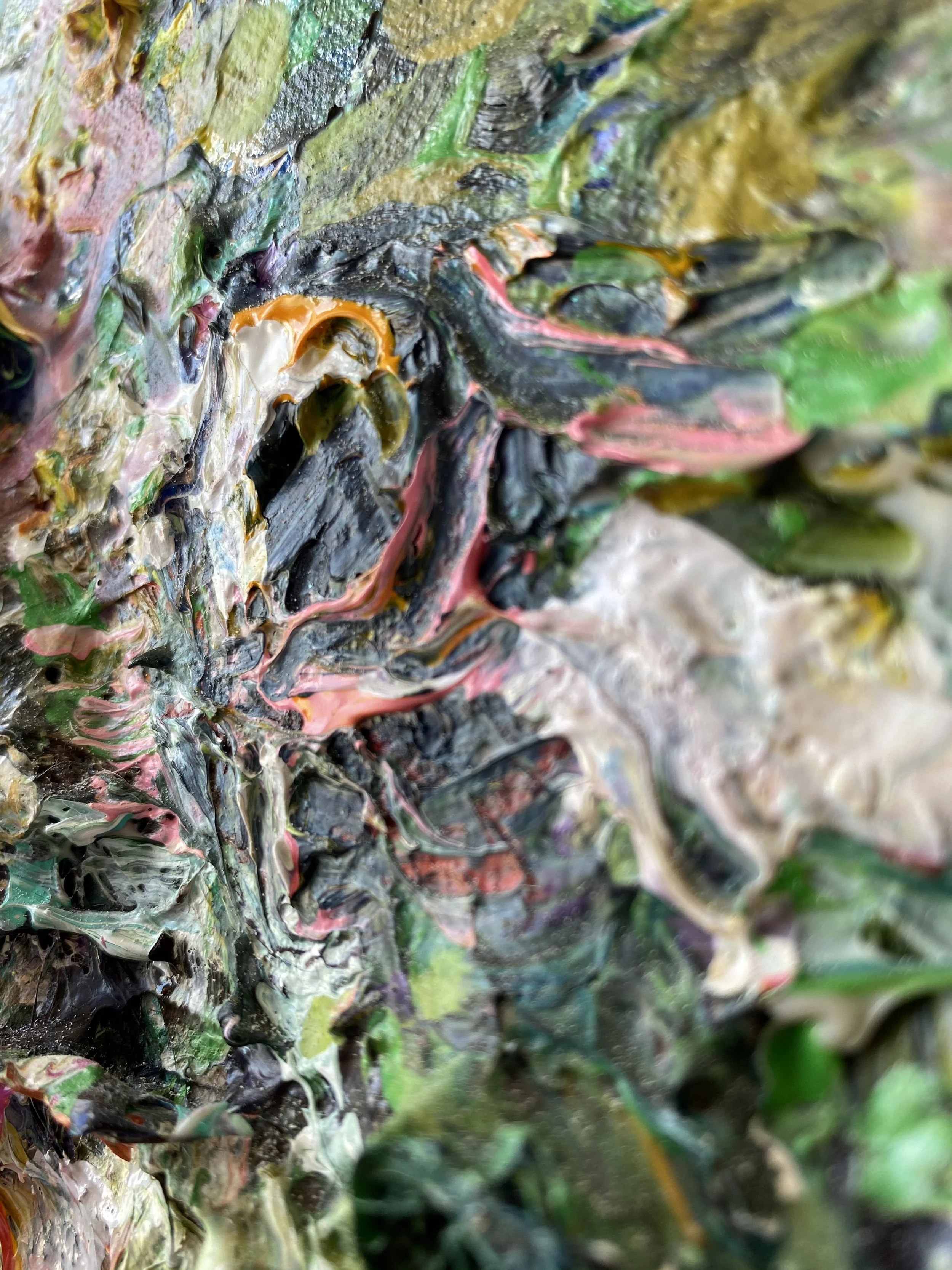 Hubert_raking view close up 4_LIZ ALDERMAN ART_PAINTING.jpeg